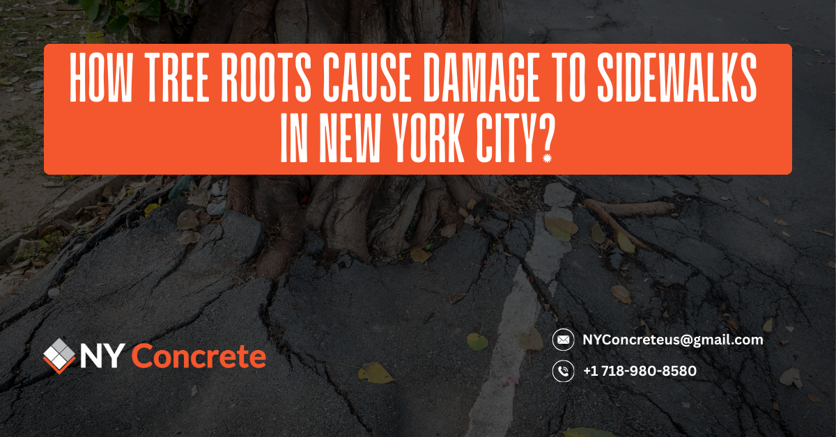 How Tree Roots Cause Damage to Sidewalks in New York City?
