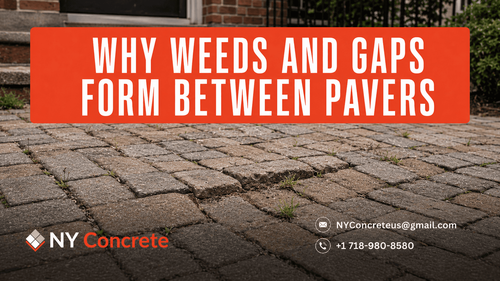 Weeds and Gaps Between Pavers: Causes and Proper Repair