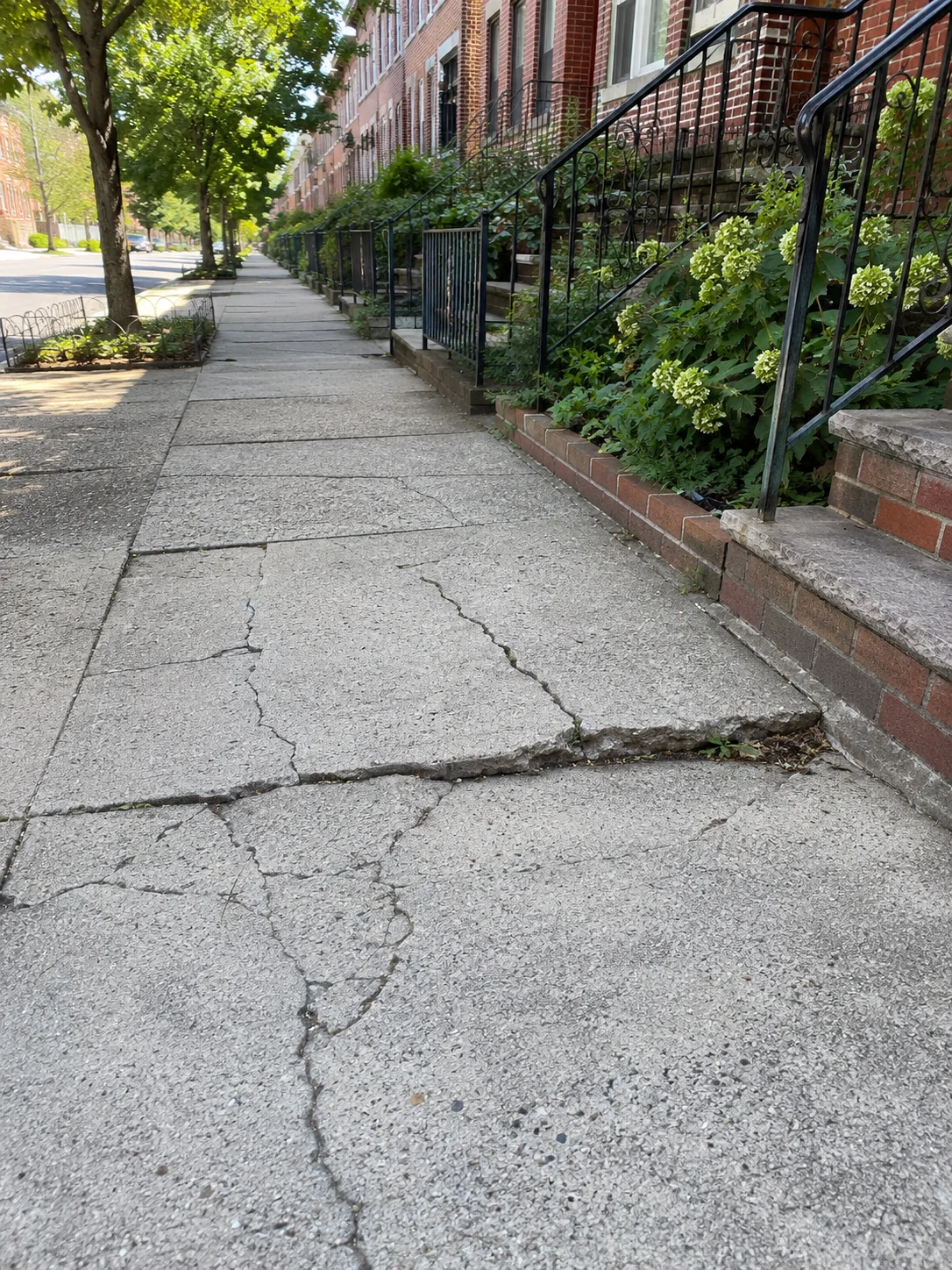 Cracked concrete sidewalk outside brick homes in Bay Ridge, Brooklyn