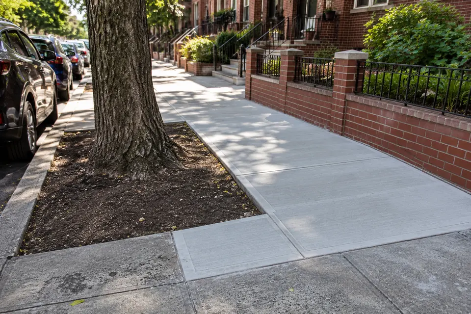 New concrete sidewalk installed around a mature street tree after root-related damage