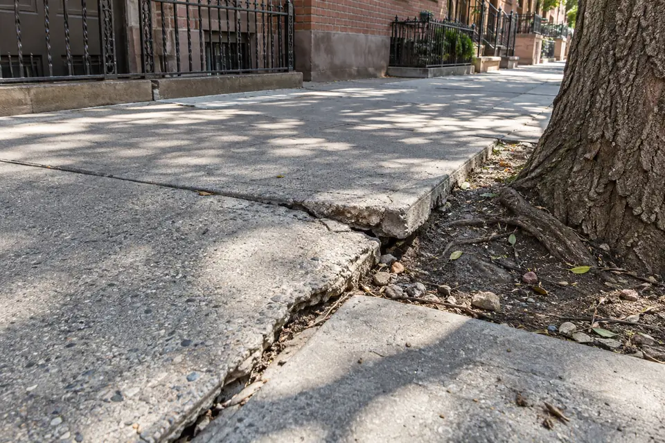 Concrete sidewalk lifted and cracked by tree roots along an NYC residential street